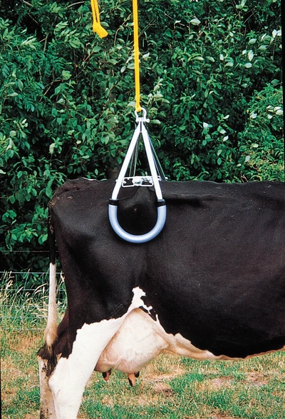 Medium Duty European Style Cow Lifter TA1800