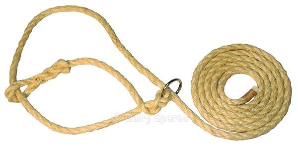 Cattle Halter Best Sisal c/w Ring – HA16 HA16