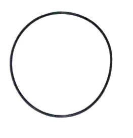 Large O-ring for NuPulse Top Wash CIP assembly