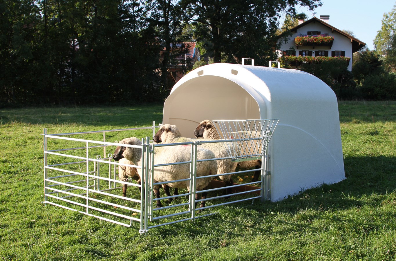 Großraumhütte mit Anschlussset für Steckhorden, Mod. 2020