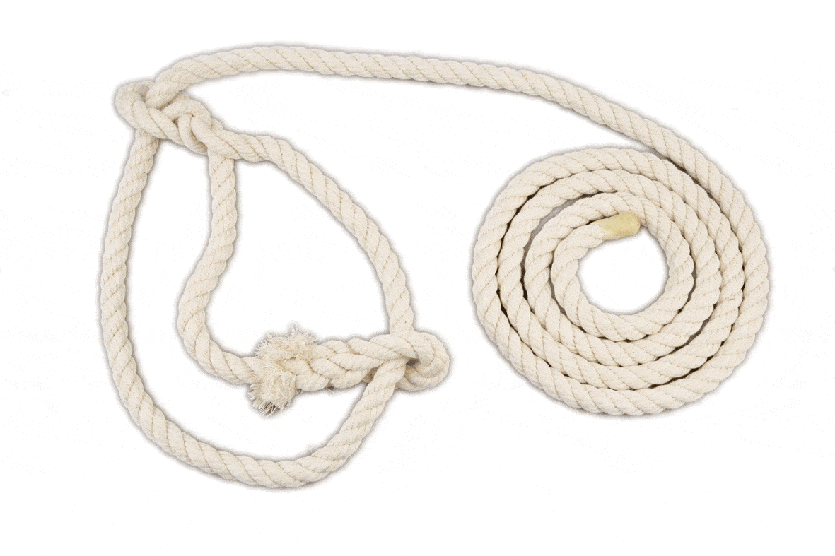 Calf halter white cotton 10mm x 3.6mts