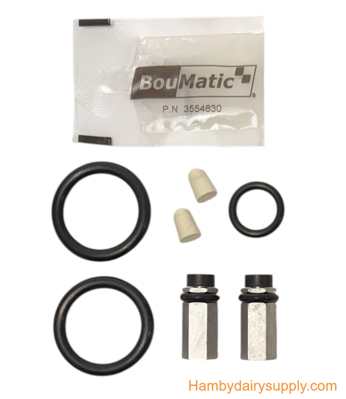 Rebuild Kit for Bou-Matic HiFlo Evolution 24v Pulsators BM43200