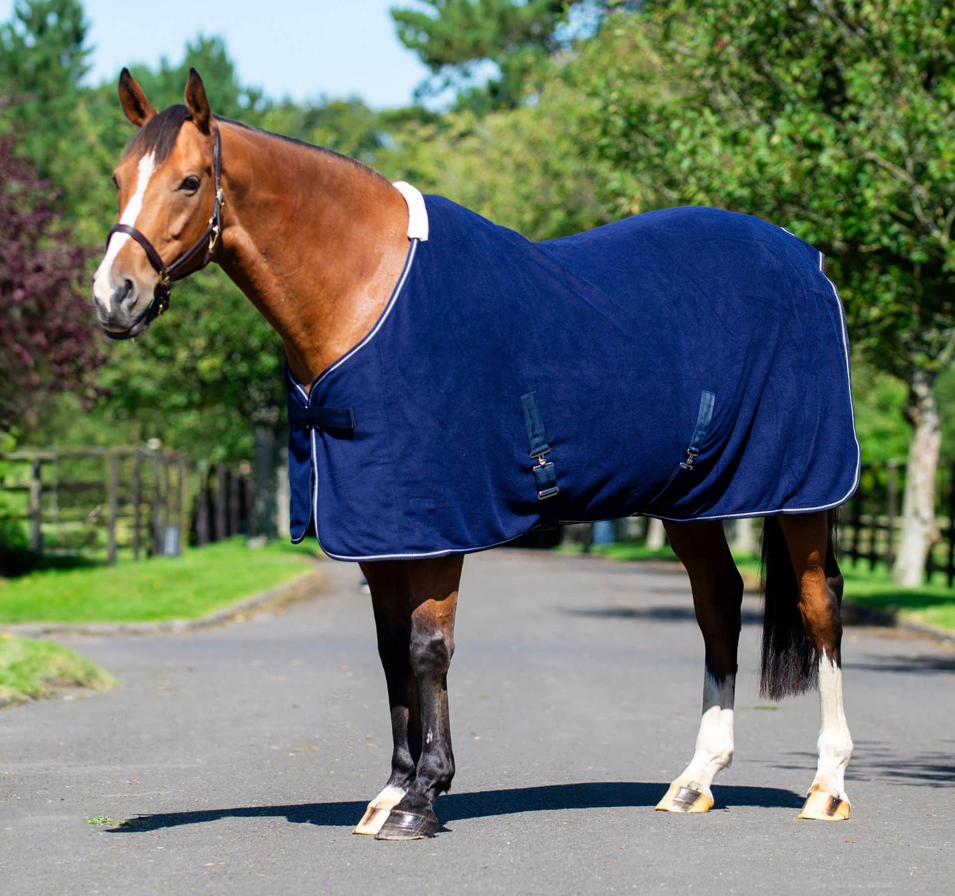 EquiSential Fleece Cooler – Navy/Silver
