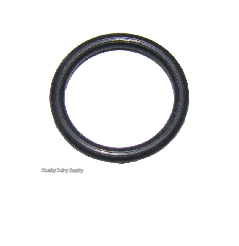 O-rings (6) for SS Quick Connect for Measuring Stick 7750-0287-512