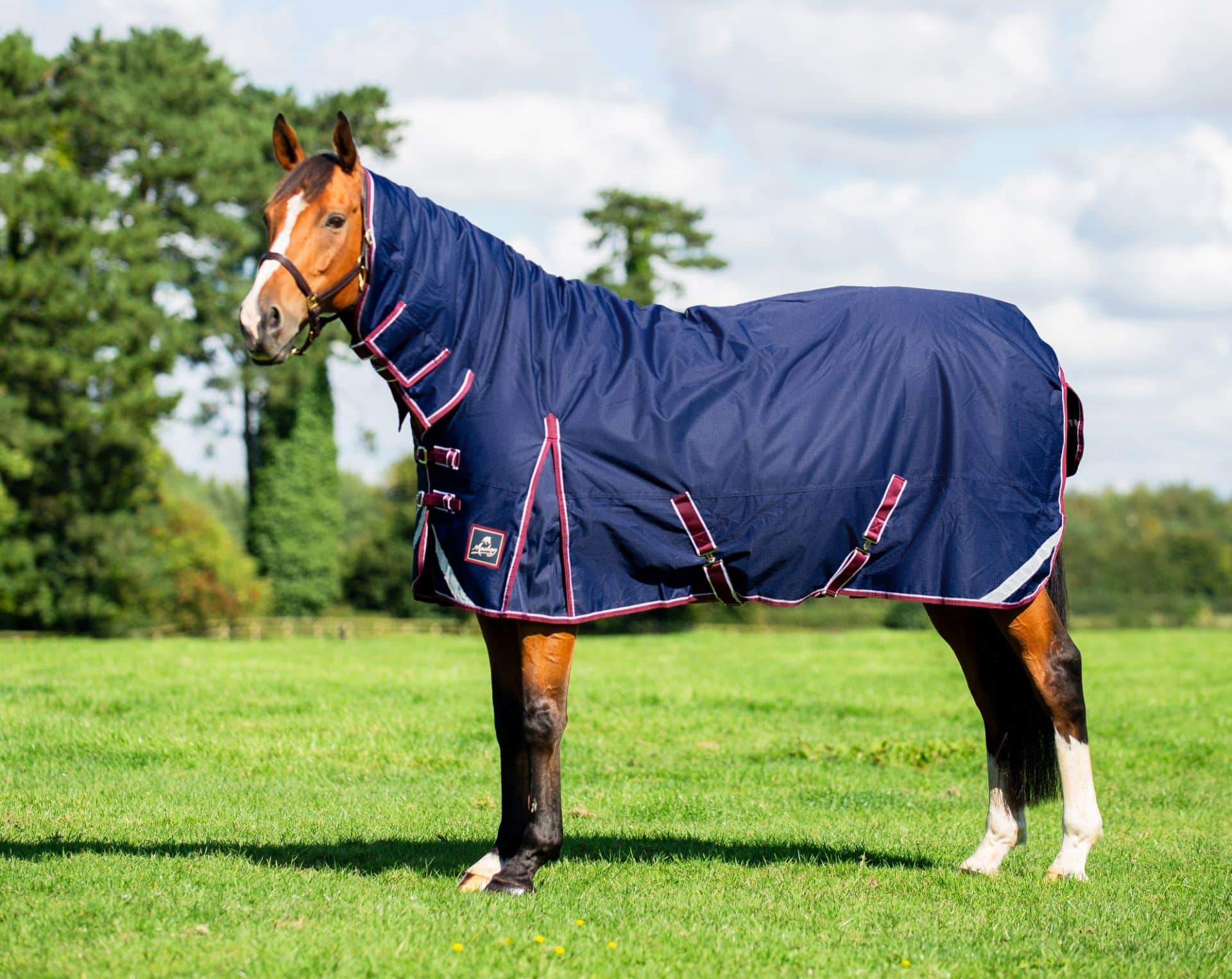 Keadeen Plus Turnout Rug