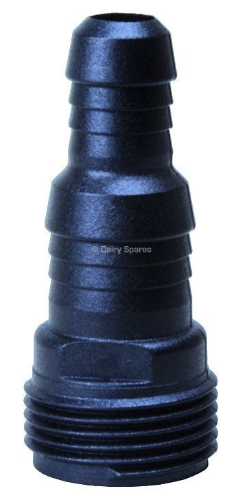 Anka© Black Hosetail – WG501B WG501B
