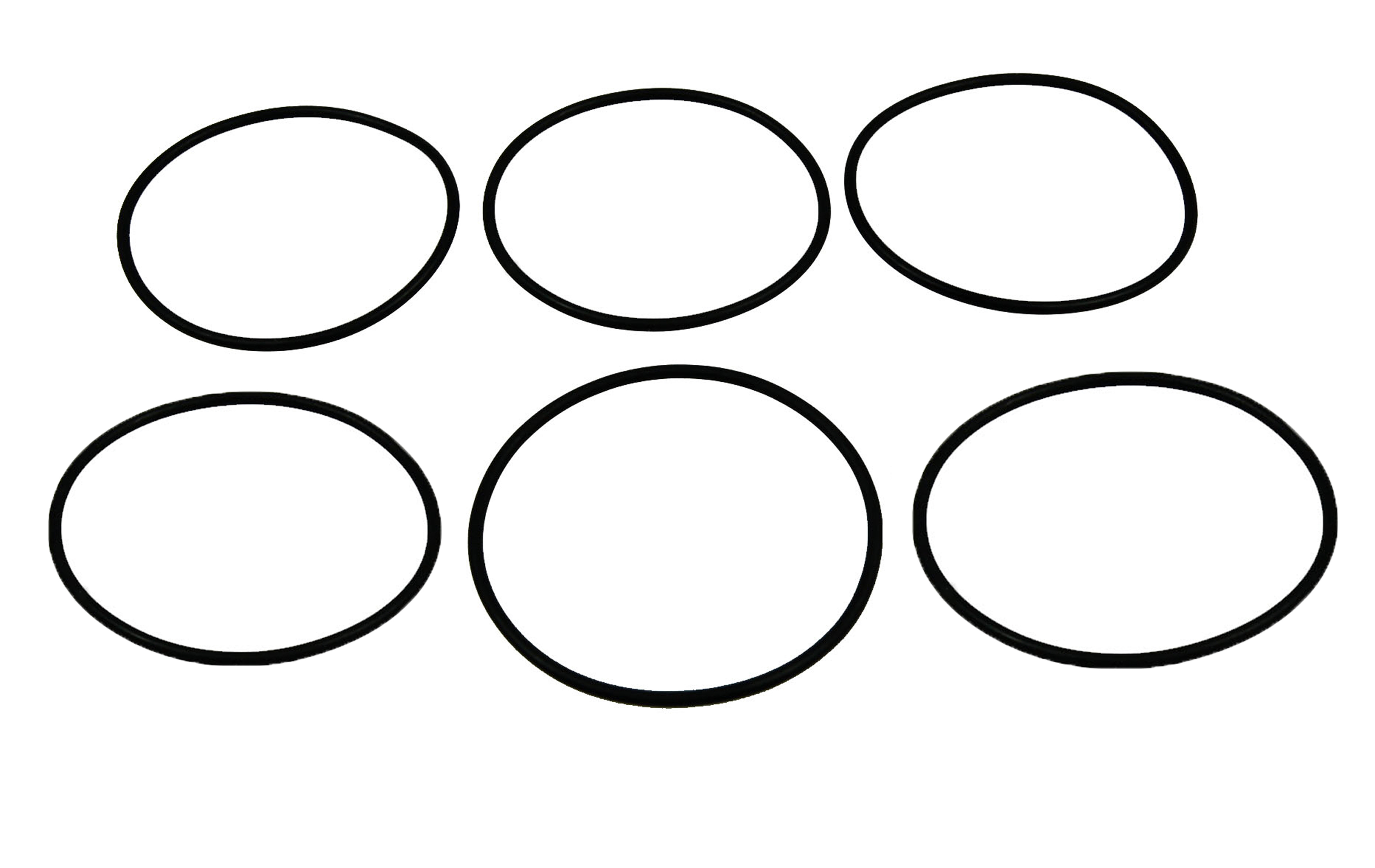 Ambic O-Ringe für Mastitisdetektor Vision 16, 6er Pack | AV/2004-16 AV/2004-16