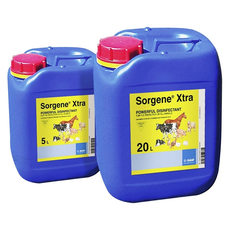 Sorgene xtra powerful disinfectant – various options 165171/165331P