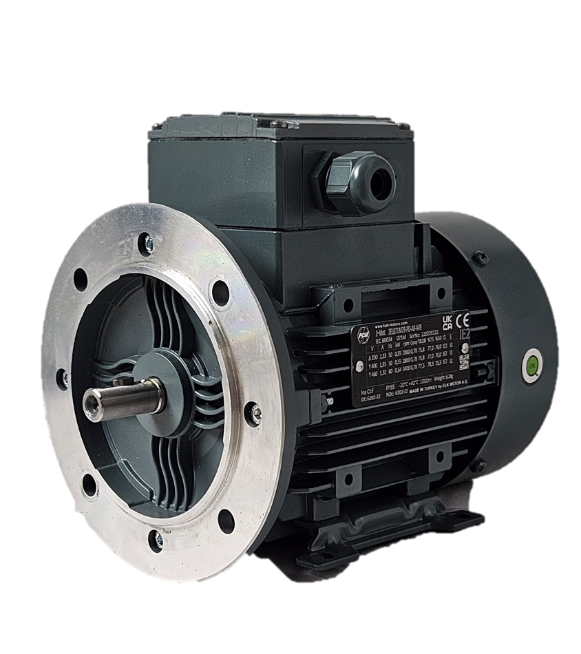 Flanschmotor für Packo Milchpumpe 0,55 kW