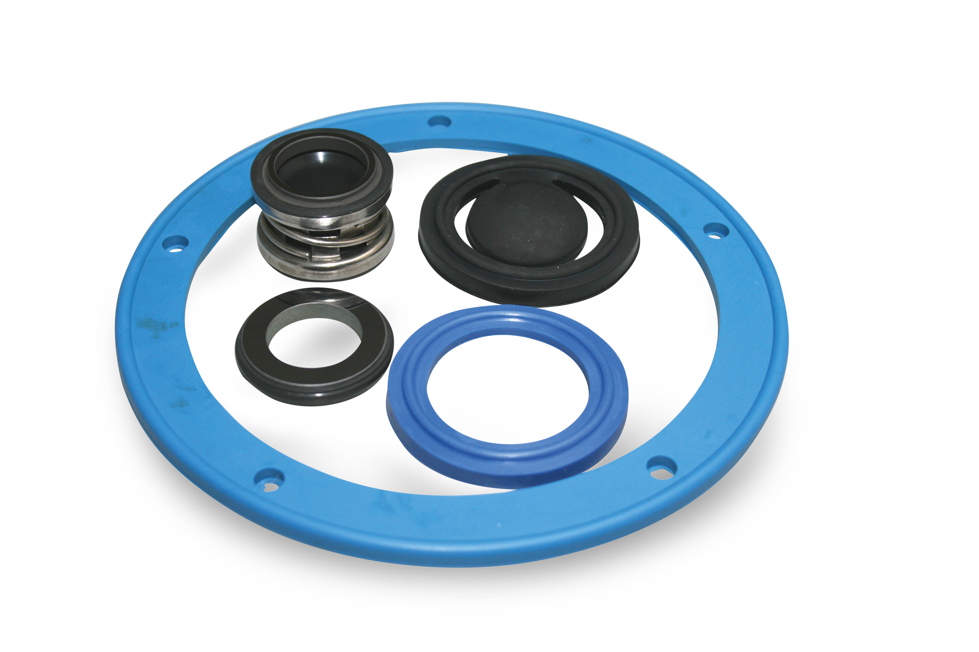 Reparatursatz passend für Dairymaster Milchpumpe | CP213 CP213