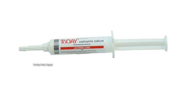 Out of Stock - Today Mastitis Tubes * Sold each 4999-1185-080