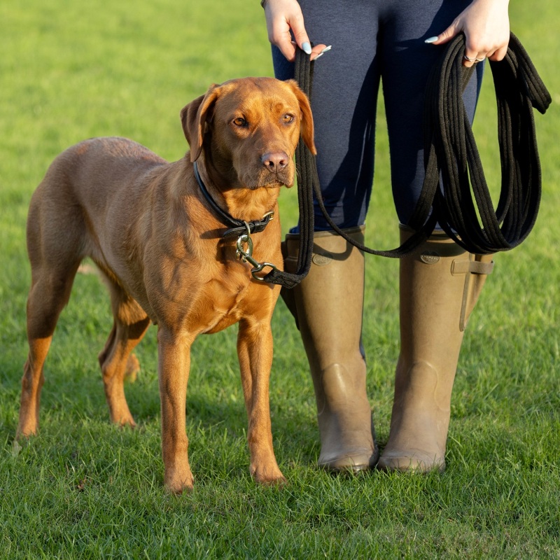 Benji & Flo Training Longline BAF0238
