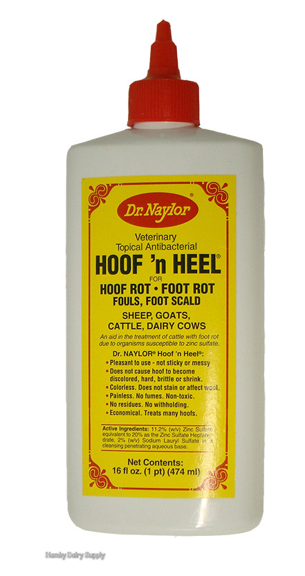 Liquid Hoof n Heel - Pint