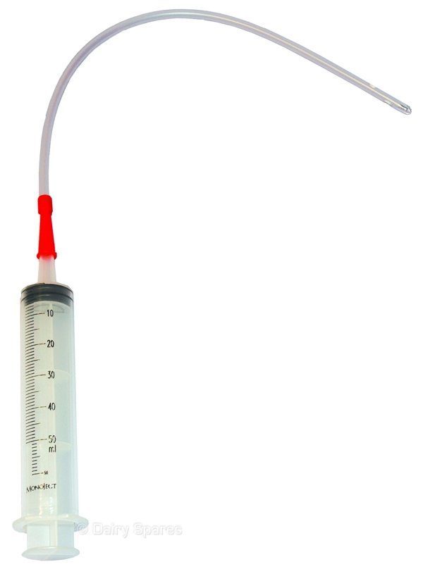 Lamb Reviver c/w Tube – LT60 LT60