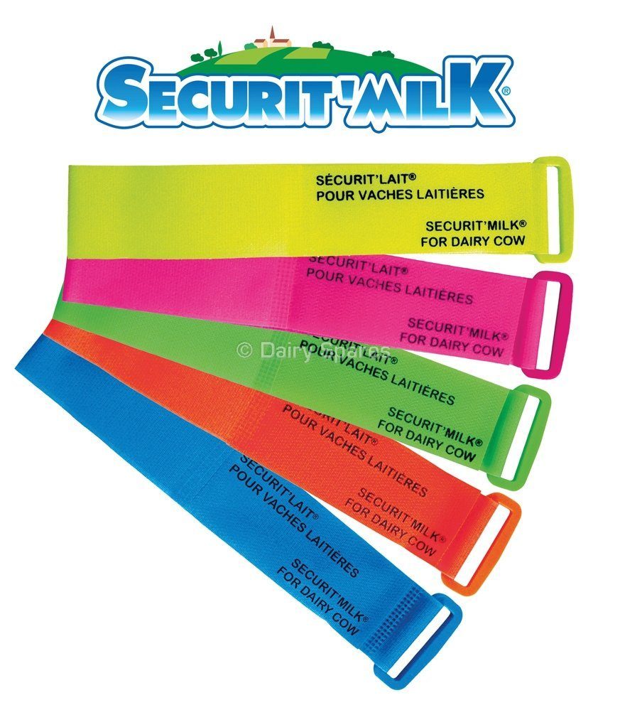 Securit’Milk Legband Yellow (6Pk) – LB201A LB201A