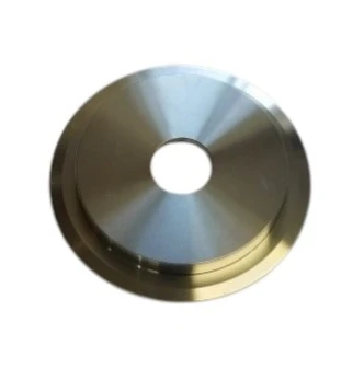 Back Plate (external seal) for Thomsen & Kleen-Flo #4 Transfer Pump