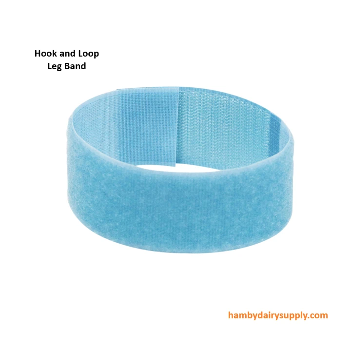 Blue Leg Bands by Coburn - bag of 10 - Velcro Style 83-06-10