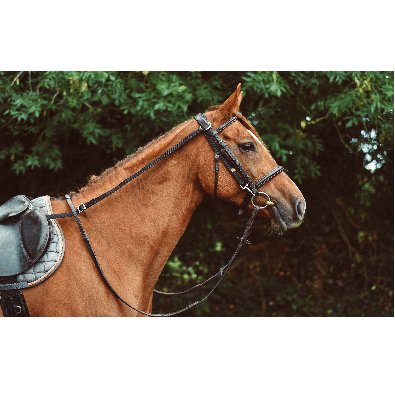 Equisential Anti-Grazing Reins