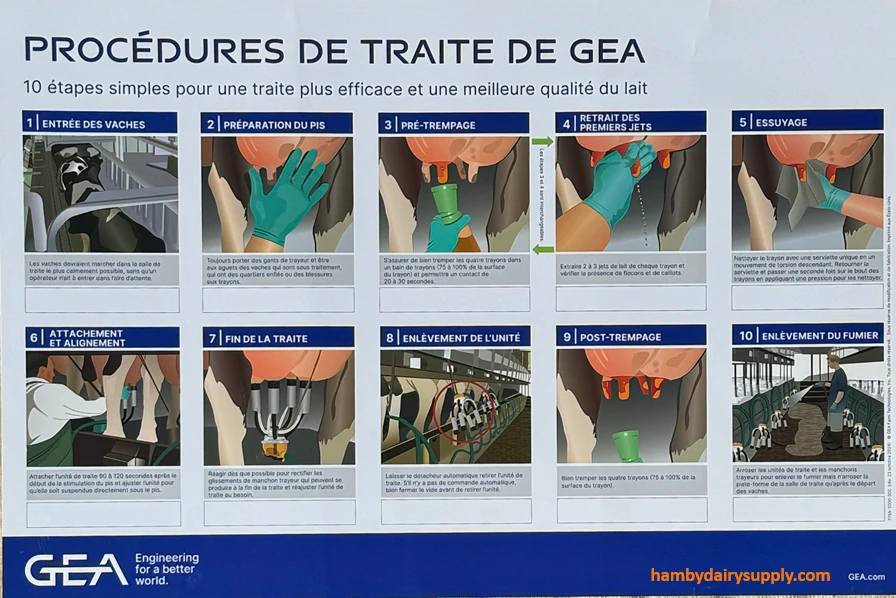 Affiche plastifiée « 10 étapes » : Procédures de traite par GEA - French