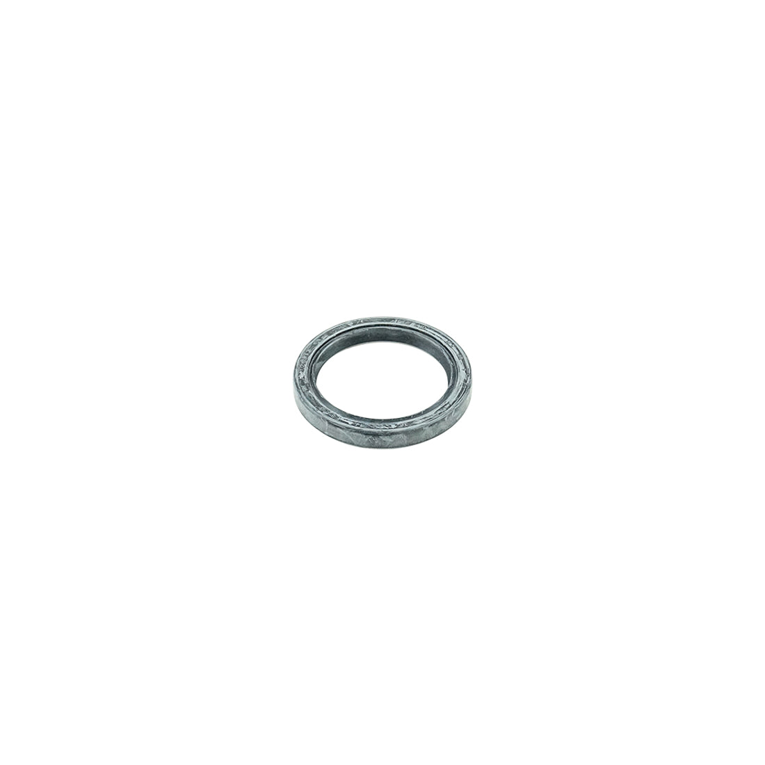 O-ring with dust lip for vacuum pump
