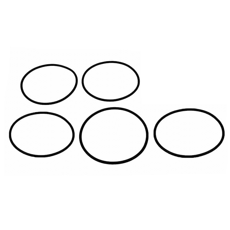Febra™ Mastitis Detector Screen ‘O’ Ring (6068476) (5Pk) DE062