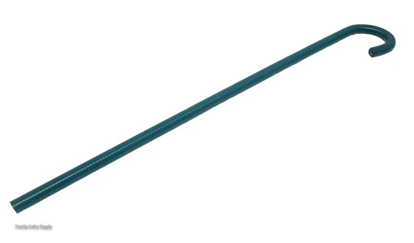 Poly Cane - 4-H Green 38 inch