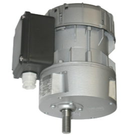 Agitator Motor R1C 225 F6BC 0710-101-3040