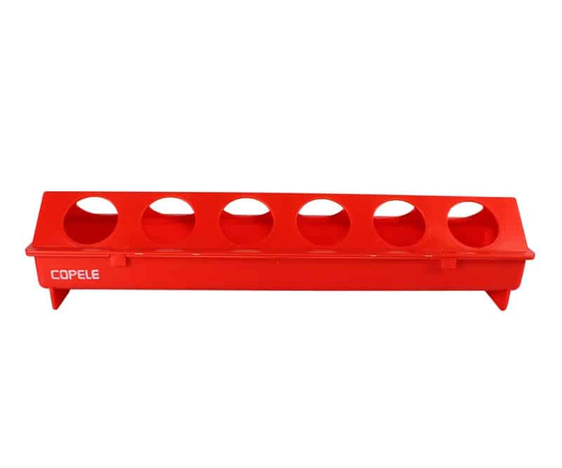 Poultry Feeder Drinker