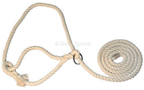 Cattle Halter Best Cotton c/w Ring – HA03 HA03