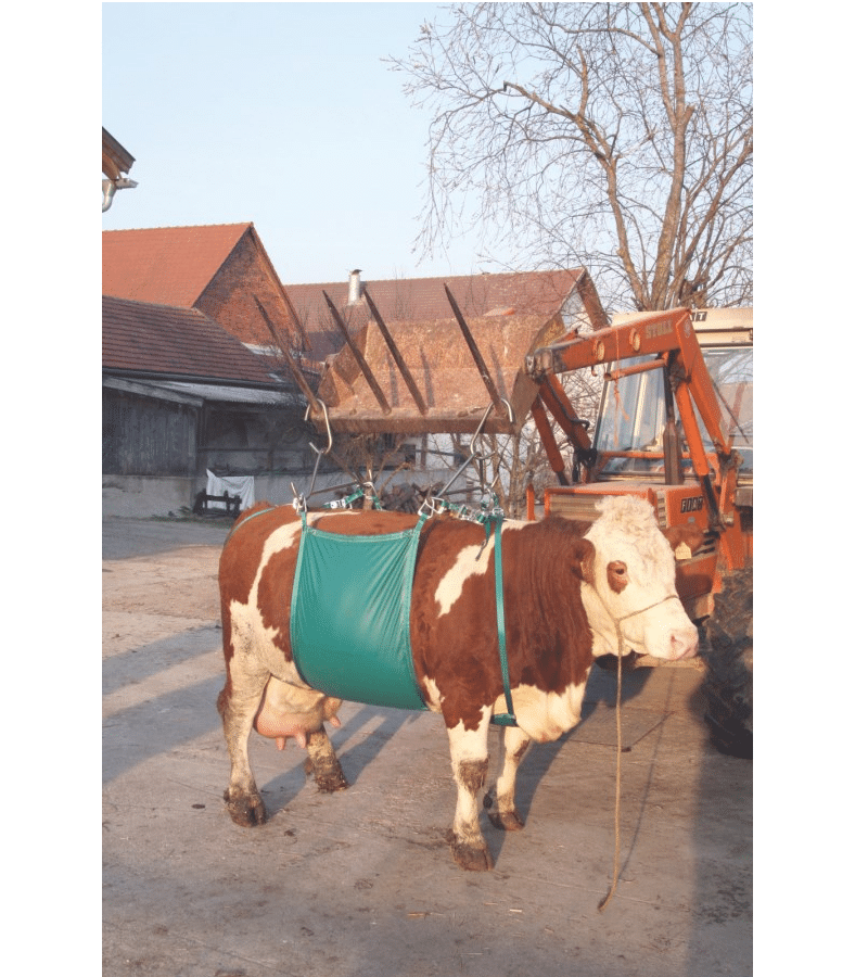 Cow Lifter