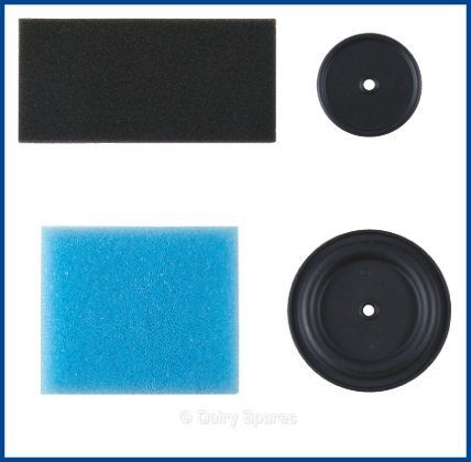 Stabilvac Vacuum Regulator 4000/6000 Service Kit – 9814