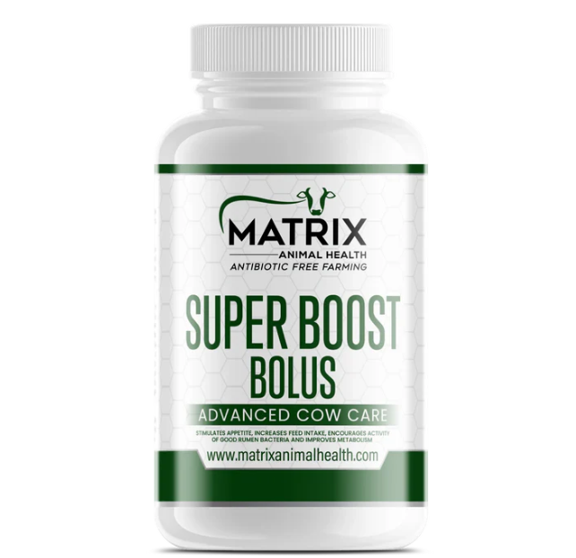 Super Boost Bolus