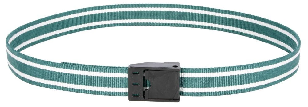 Neckband with fastener buckle for cows (10) Green with white stripes 7160-5846-230