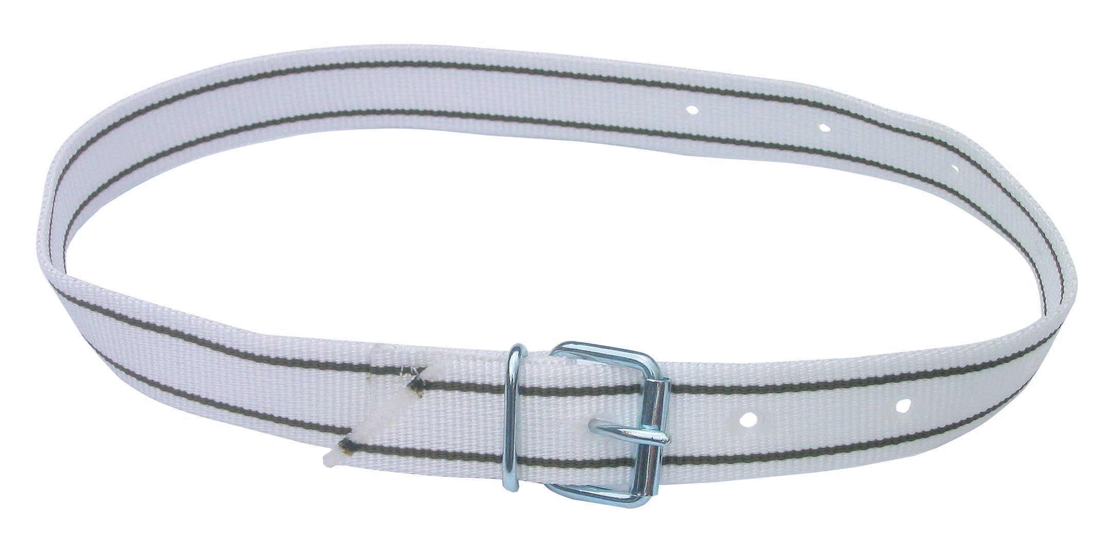 Halsmarkierungsband Premium mit Rollschnalle | 120cm