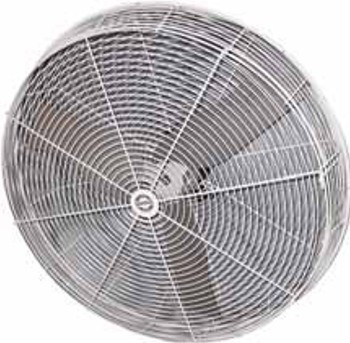 Barnstormer Fan 20 inch