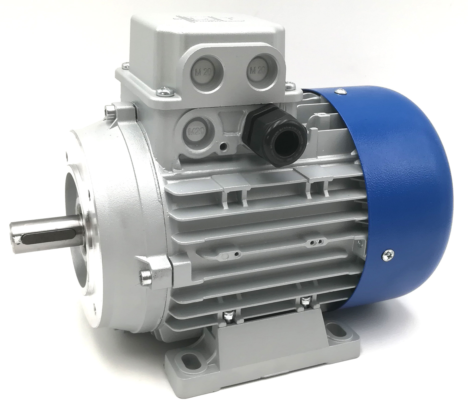 Compatible Delaval electric motor 1.1KW 380V for FMP110 995791-80 995791-80
