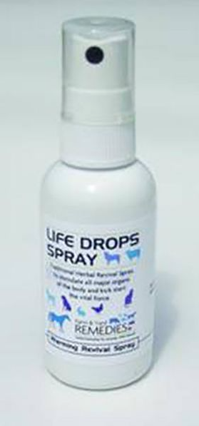 Life Drops Spray
