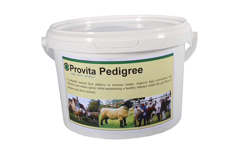 Provita Pedigree