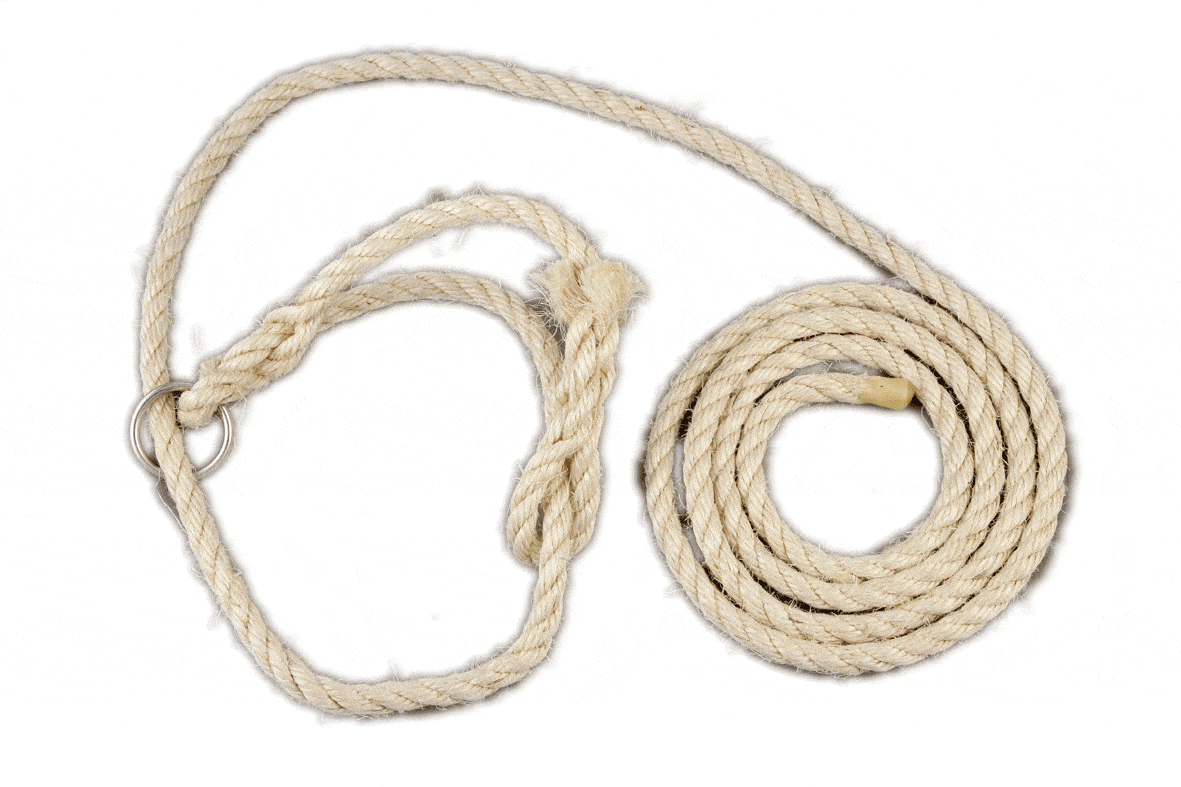 Cattle halter sisal with ring 12mm x 3.6mts