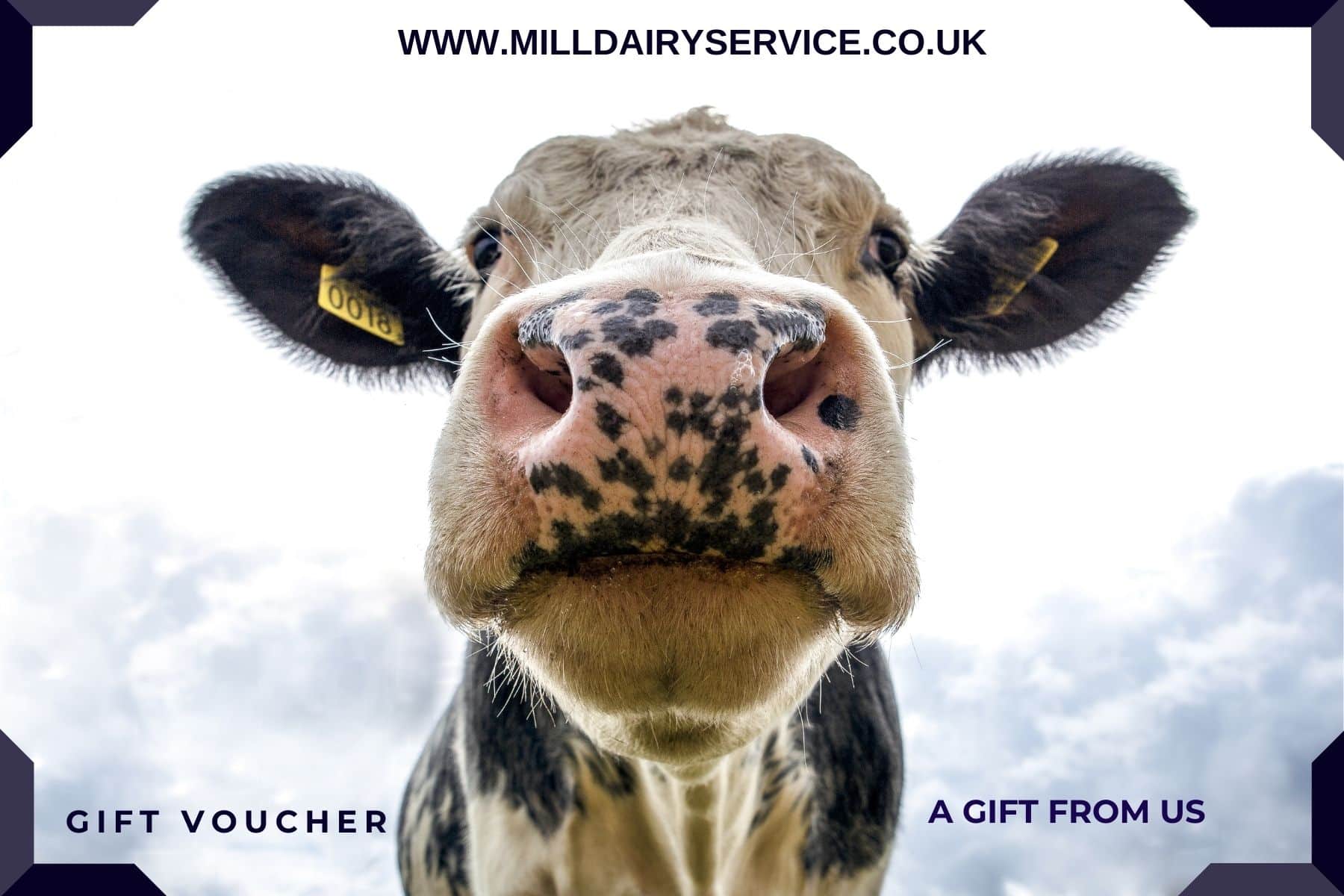MDS Gift Voucher – Various Amounts