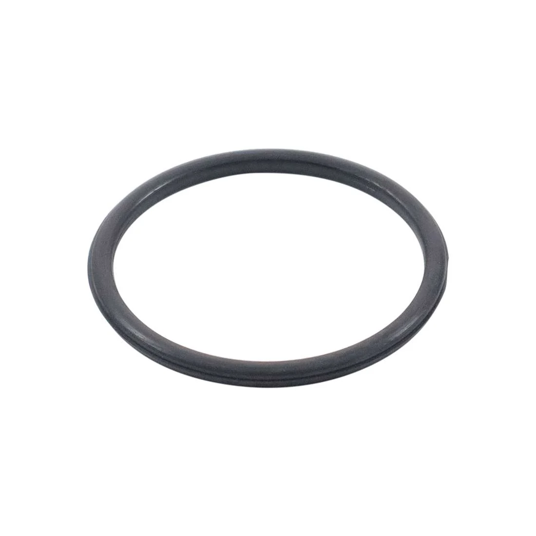 Non return valve seal D10200640