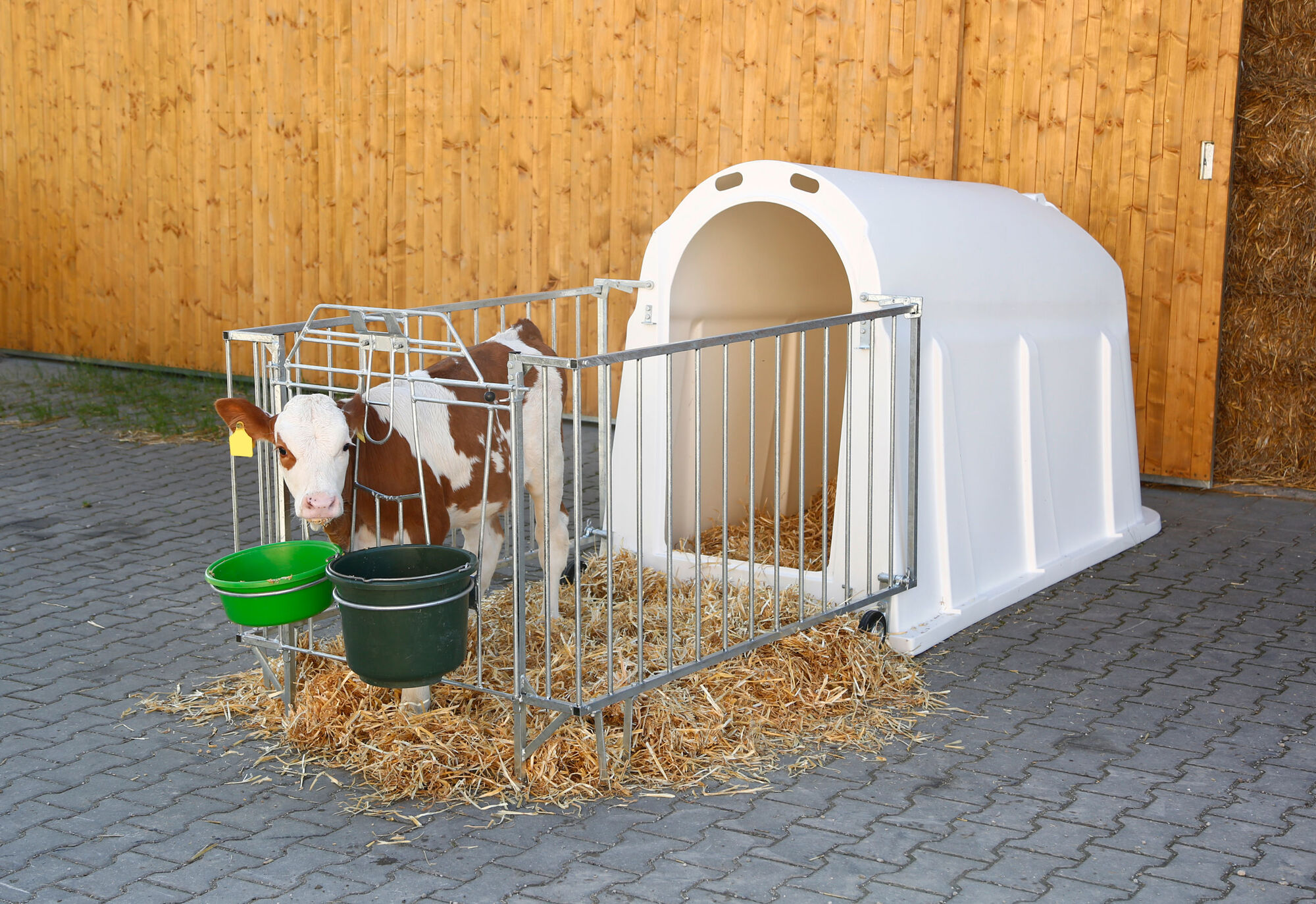 Kälberiglu CalfHouse PE UV+ mit leichter Umzäunung