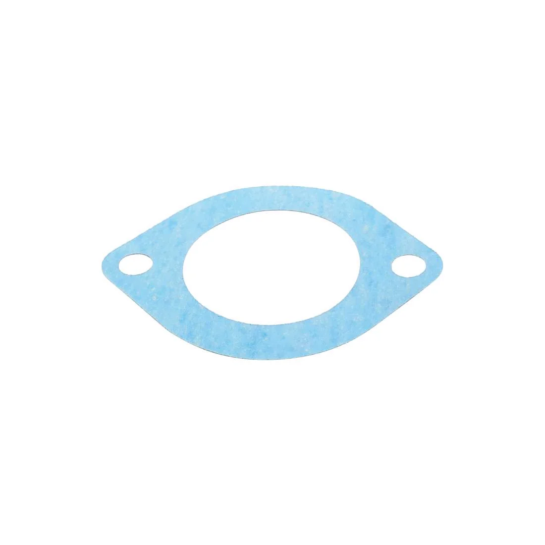 Fiber gasket for vacuum pump D1013