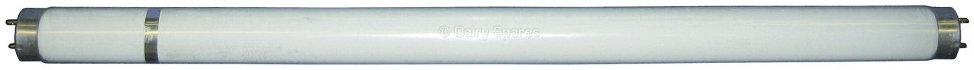 Spare Bulb for Ultrakill – EF37 EF37