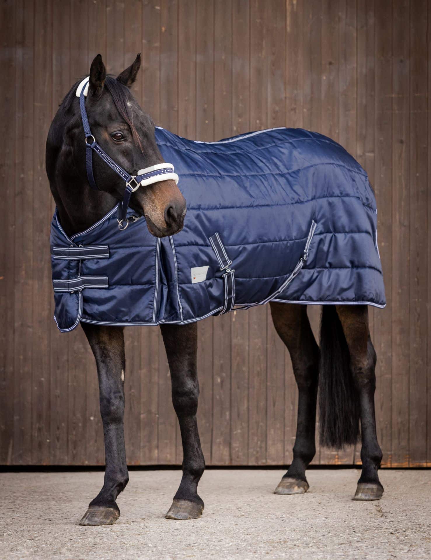 Economy Stable Rug