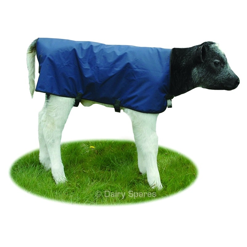 Comfy Calf Coat Jacket CC21C
