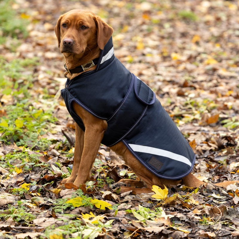 Benji & Flo Waterproof Dog Coat BAF0181