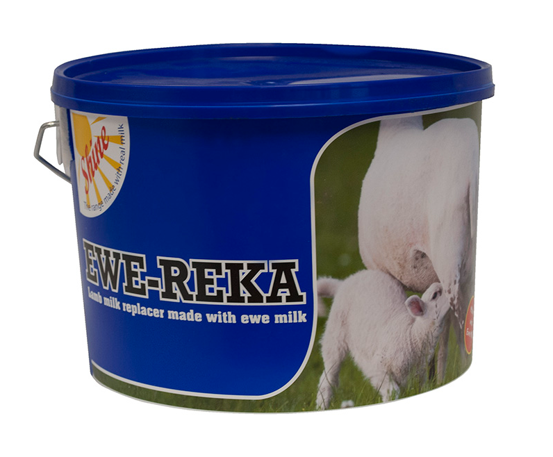 Ewe Reka