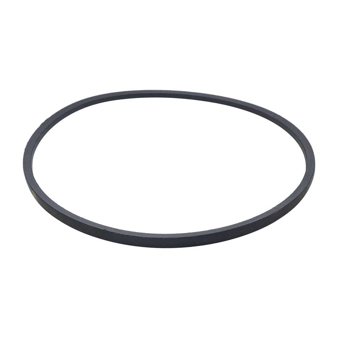 Belt: B50 D10221166