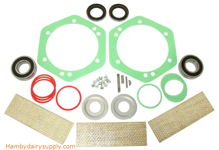 Rebuild Kit for Conde® Model 6 Super VO Vacuum pump